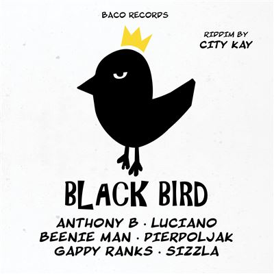 Black Bird