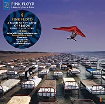 Momentary Lapse Of Reason