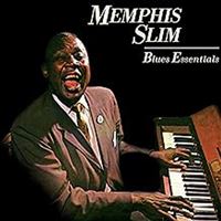 Blues Essentials LP Or