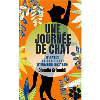 Une journée de chat