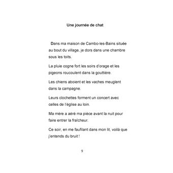 Une journée de chat
