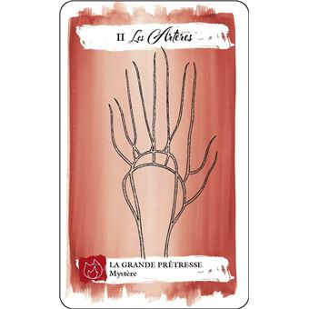 Tarot du corps - Explorez vos désirs à travers les messages de votre corps