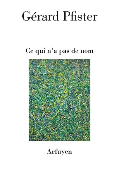 Ce qui n'a pas de nom - Gérard Pfister - broché