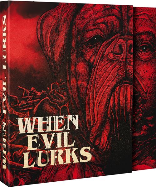 https://static.fnac-static.com/multimedia/Images/FR/NR/f5/c3/22/19055605/1520-1/tsp20250610150138/When-Evil-Lurks-Edition-Collector-Speciale-Fnac-Blu-ray.jpg