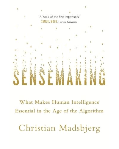 SENSEMAKING