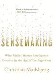 SENSEMAKING