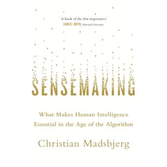 SENSEMAKING