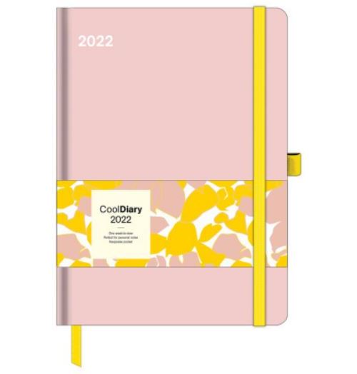PASTEL PINK 2022 COOL DIARY, 16 X 22 CM