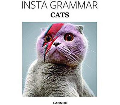 Insta Grammar Cats