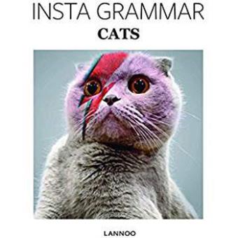 INSTA GRAMMAR CATS