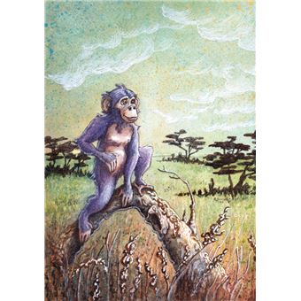 Un singe, une fois - Version dyslexique