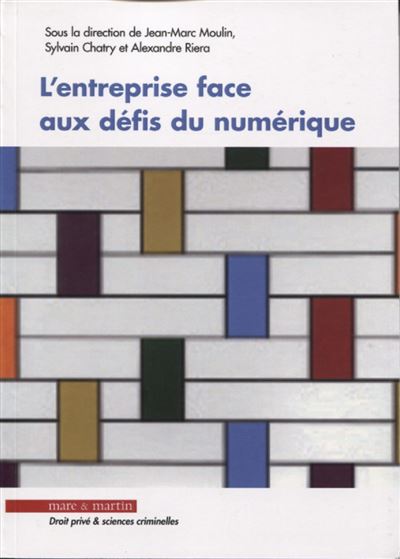 L'entreprise face aux défis du numérique - Jean-Marc Moulin - broché