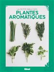 La petite bible des plantes aromatiques