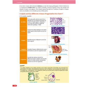 Objectif CRPE 2024 - 2025 - Sciences et technologie - épreuve écrite d'admissibilité