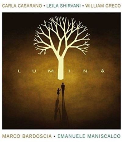 Lumina/digisleeve