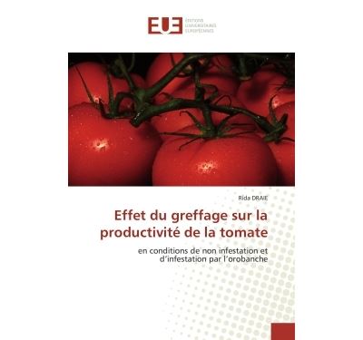 Effet du greffage sur la productivité de la tomate