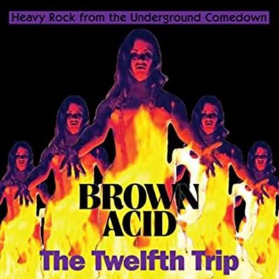 Brown Acid The Twelfth Trip