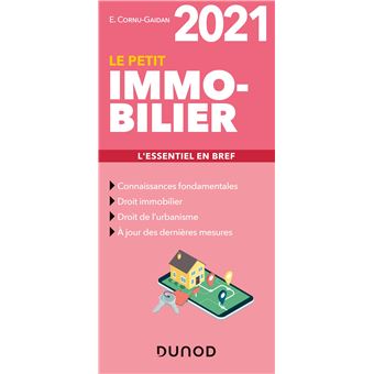 Le petit Immobilier 2021 - L'essentiel en bref
