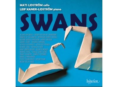 Swans.jpg