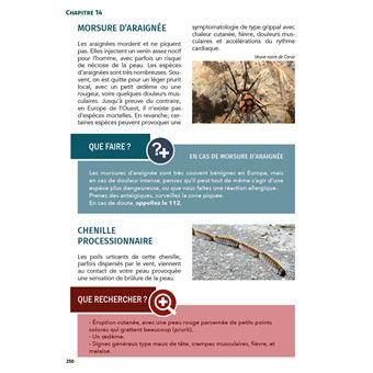 Guide des premiers secours en plein air et en milieu isolé
