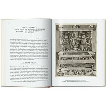 Seba. Cabinet of Natural Curiosities. 40th Ed.