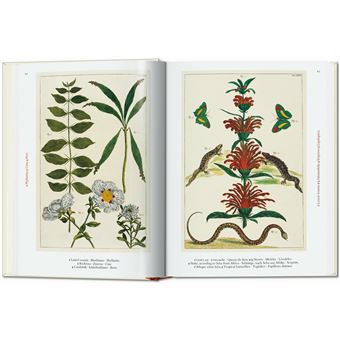 Seba. Cabinet of Natural Curiosities. 40th Ed.