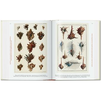 Seba. Cabinet of Natural Curiosities. 40th Ed.