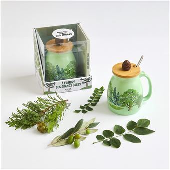 Coffret À l'ombre des grands sages