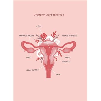 Journal intime menstruel - L'outil pour développer une relation saine avec son cycle