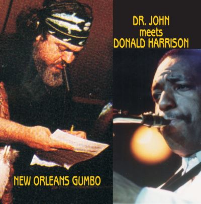New orleans gumbo