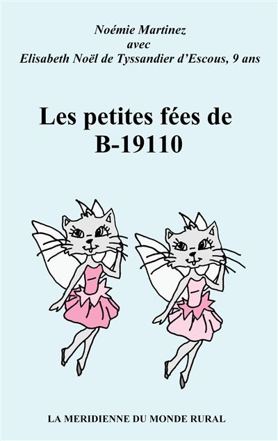 Les Petites Fées De B-19110 - Broché - Noémie Martinez, Elisabeth Noël ...