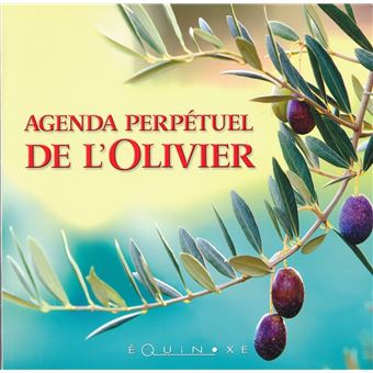 Agenda Perpetuel Idee Et Prix Agendas Et Calendriers Fnac