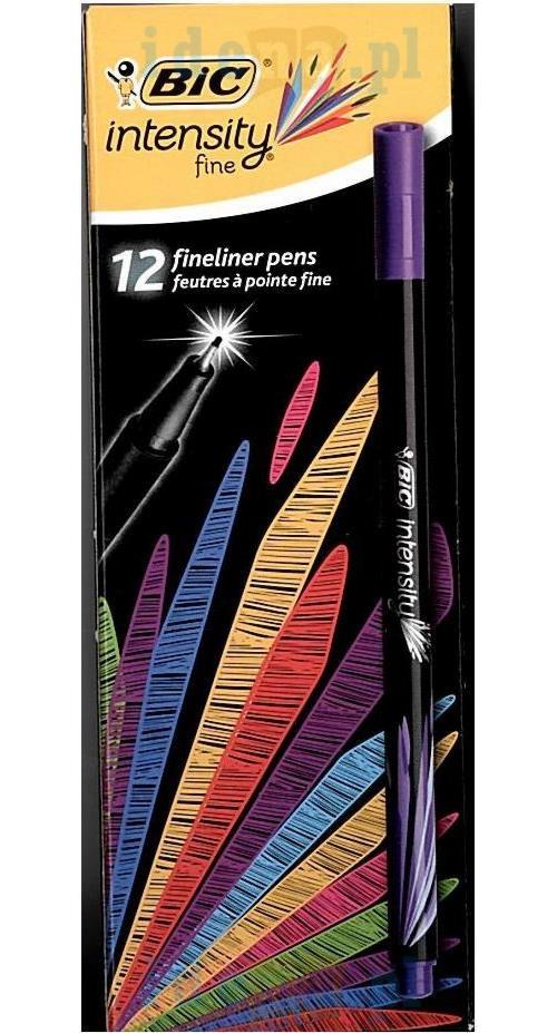 BIC INTENSITY FINELINER PAARS /12