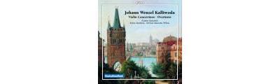 Ouvertures et concertinos pour violon