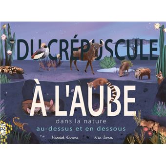 Au-dessus et en-dessous... du crépuscule à l'aube (provisoire)
