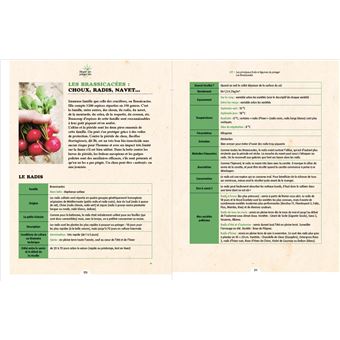 Réussir son potager bio en partant de zéro - Tout ce qu'il faut savoir quand on ne sais rien (ou pre