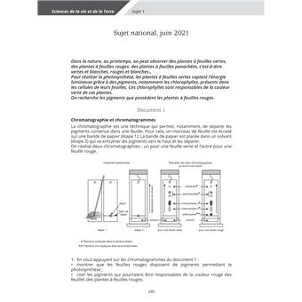 Réussite brevet 2022 - Mathématiques-Sciences 3e