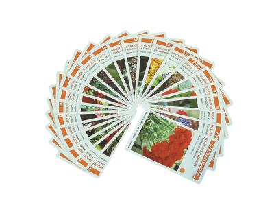 Planti'cartes