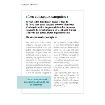 Coeur et artères, en pleine santé !