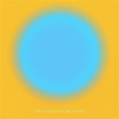 Ecstatic Meditations Vinyle Transparent