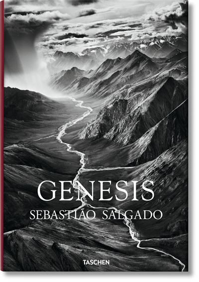 Présentation Vidéo - Genesis