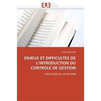 Enjeux Et Difficultes De L Introduction Du Controle De Gestion - Broché ...