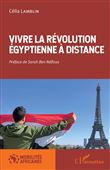 Vivre la révolution égyptienne à distance
