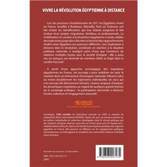 Vivre la révolution égyptienne à distance