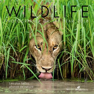 Wildlife Photographer of the year