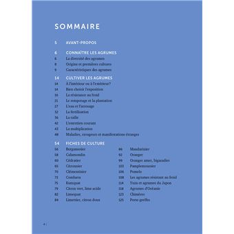 Agrumes - Comment les choisir et les cultiver facilement