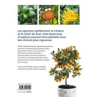 Agrumes - Comment les choisir et les cultiver facilement