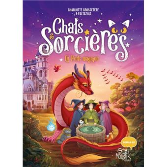 Chats & sorcières - Tome 3 - Le puits magique, tome 3