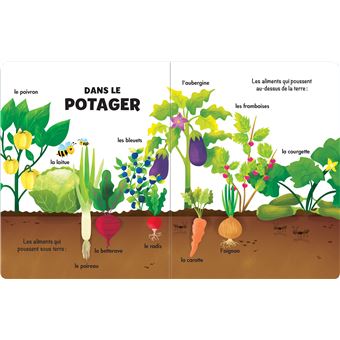 Mes 100 premiers mots : les aliments - Imagier à poignée - dès 2 ans