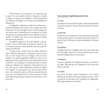 Protection énergétique pour débutants